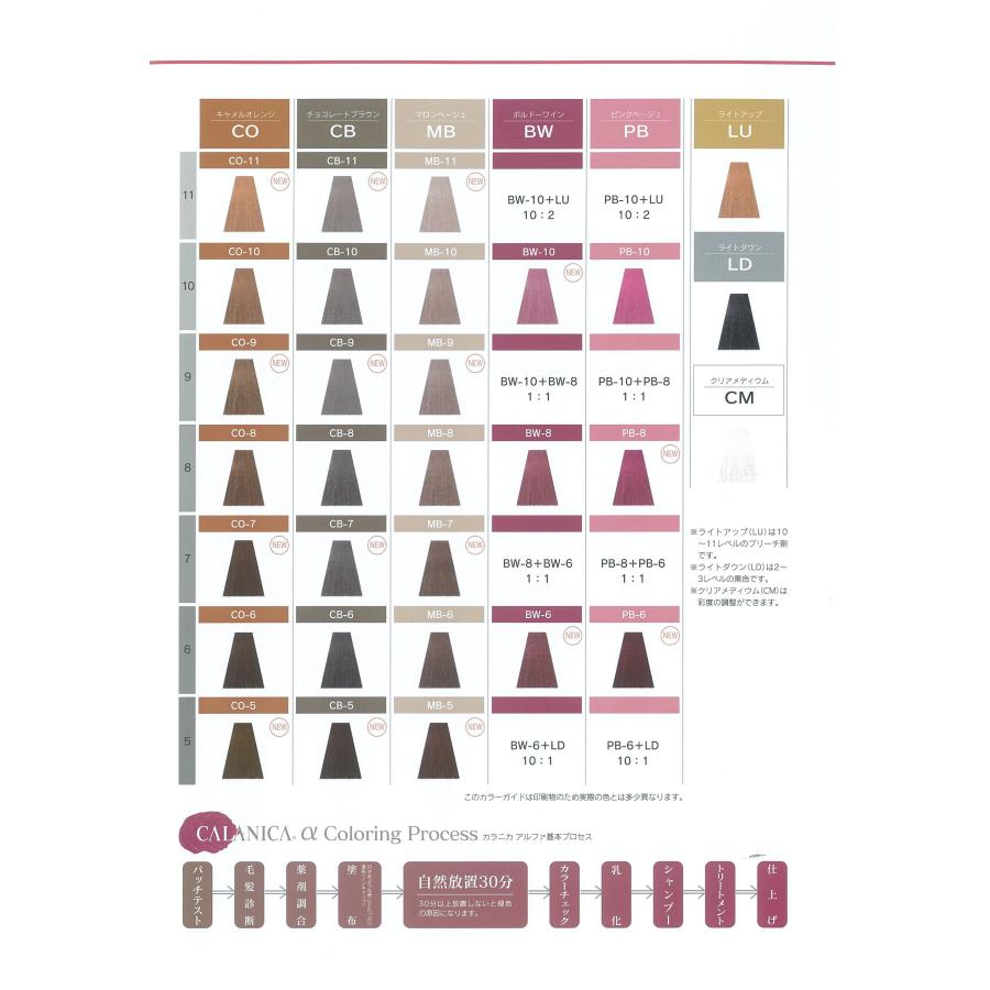 ヘアカラー おしゃれ染 NB-5 ナチュラルベージュ カラニカアルファー 1