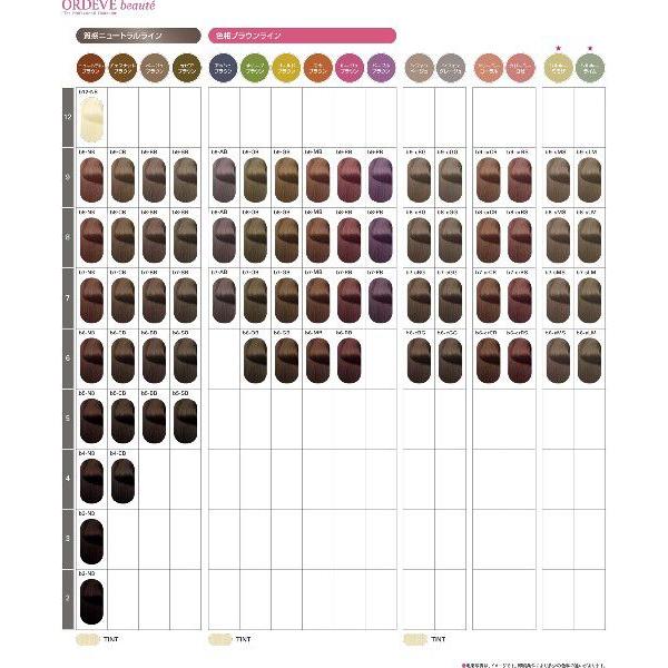 ORDEVE（オルディーブ） ミルボン オルディーブボーテ モカブラウン MB