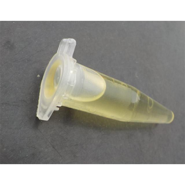 西洋ミツバチ分蜂群の誘引剤 西洋ミツバチ用ルアー 3個セット