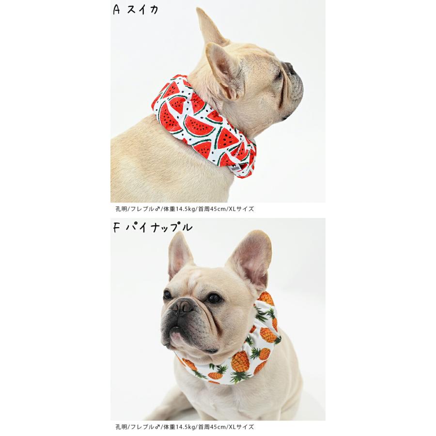 NEW クールネック 犬 2025年モデル 全20柄 夏 暑さ対策 ひんやり