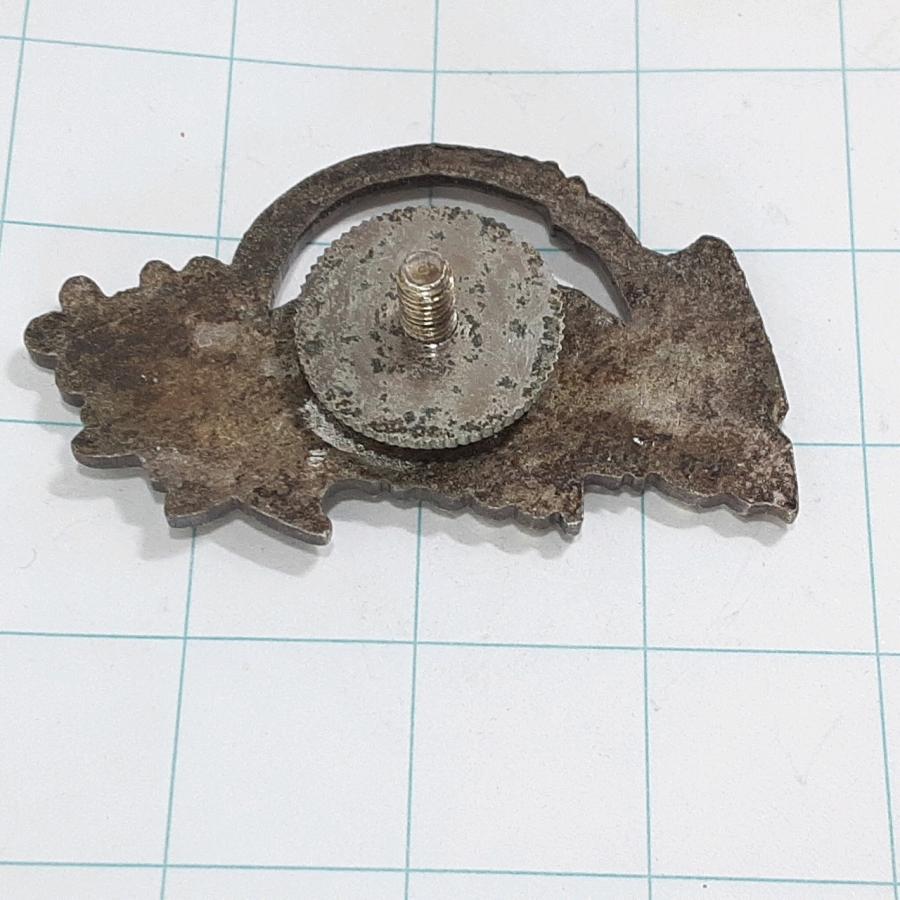 送料無料)川苔山 観光 旅行 登山 記念 山バッジ ピンバッジ PINS