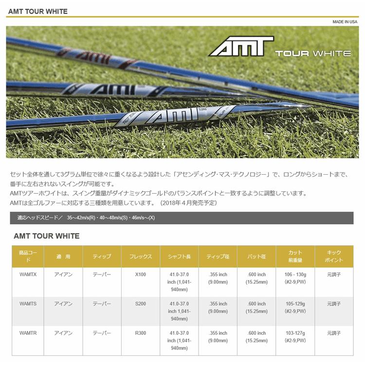 TRUE TEMPER（トゥルーテンパー） シャフト アイアン用 AMT ツアー