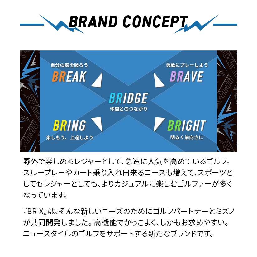 MIZUNO（ミズノ） ゴルフ BR-X アイアン セット #6~PW GW SW 3D重心