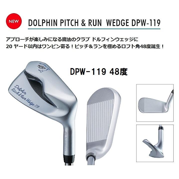 kasco（キャスコ） DOLPHIN WEDGE / DRW-119 39度 / DPW-119 48度