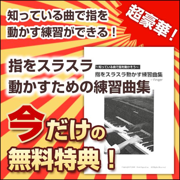 ピアノレッスン / 30日でマスターするピアノ教本＆DVDセット 海野