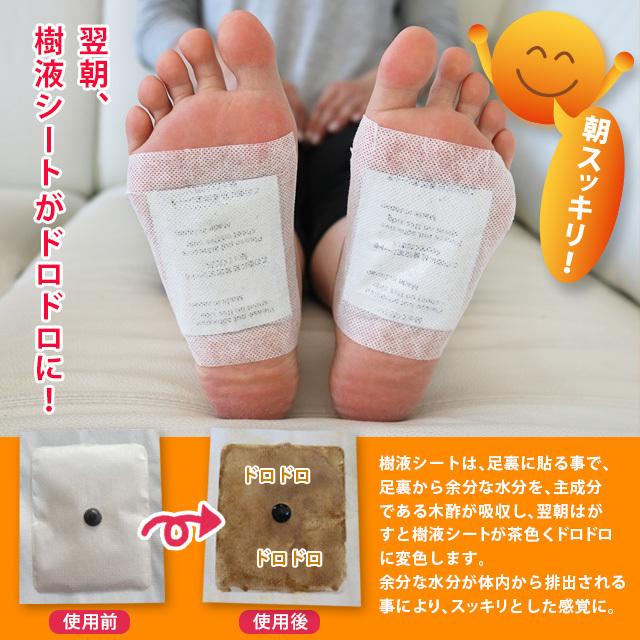 足裏シート 樹液シート スッキリアサ 40枚入 : Good Mark - 通販