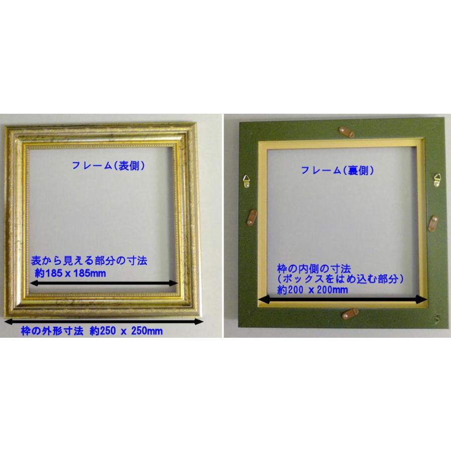 立体額 フレーム＋紙BOX 200角 クラシックゴールド ボックスフレーム