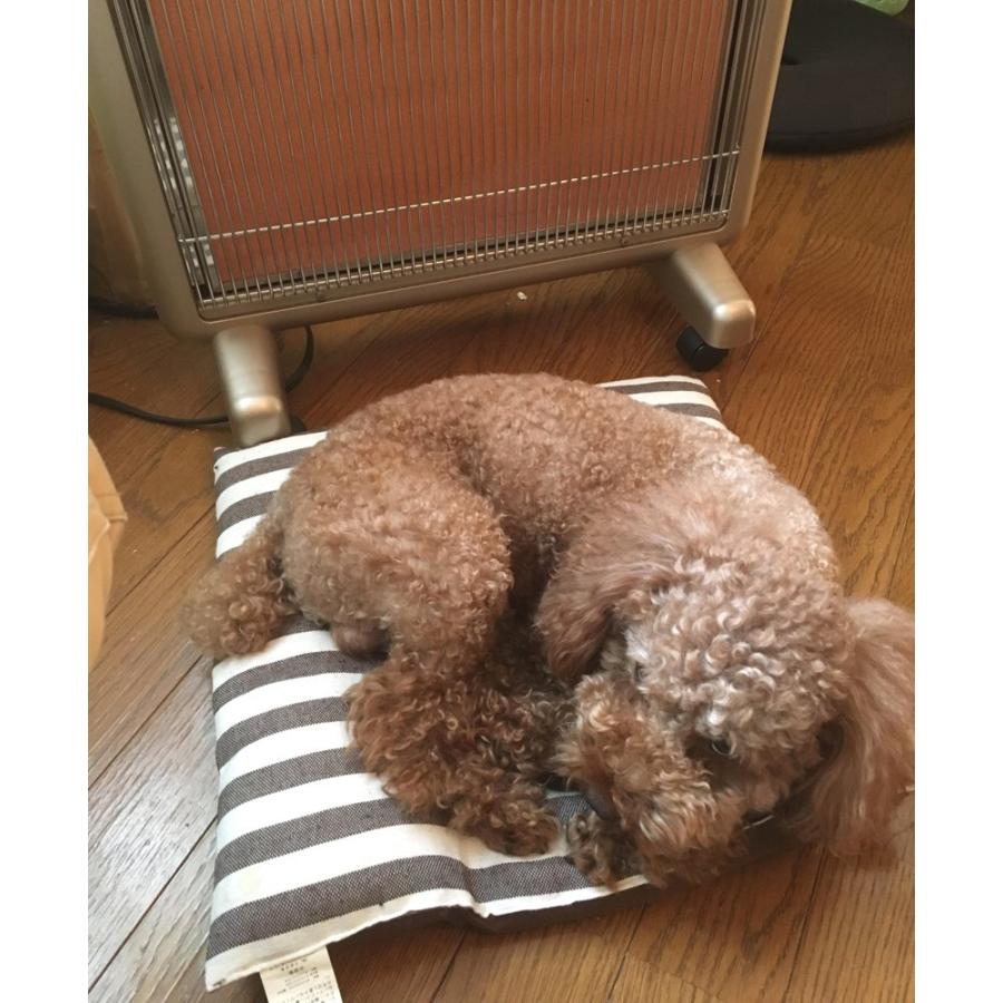 日本遠赤外線 【今だけ3900円OFF】サンルミエ・エクセラ7｜遠赤外線