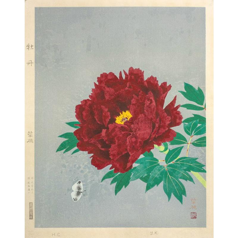 山口華楊 「 牡丹 」 木版画 版画 日本画 絵画 静物 花 ぼたん ボタン