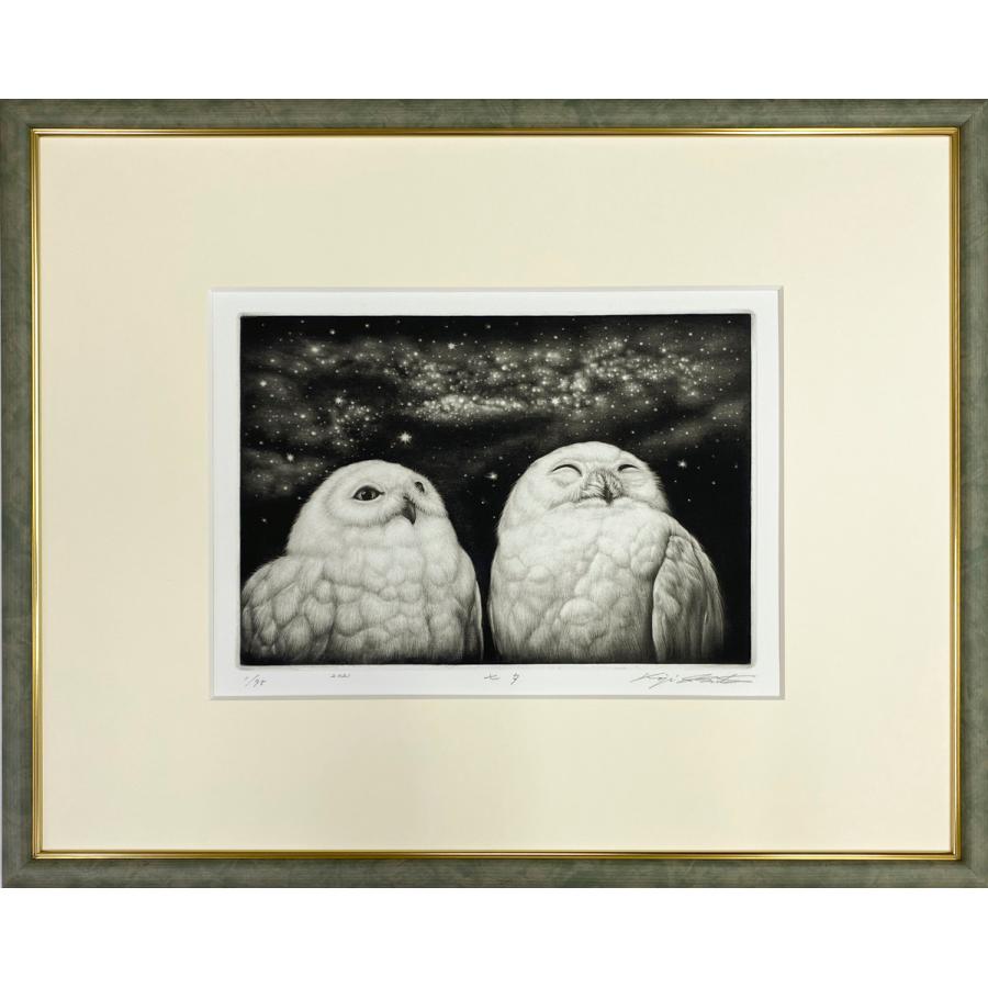 生田宏司「七夕」銅版画 メゾチント 額装 2羽のフクロウ 銀河 宇宙