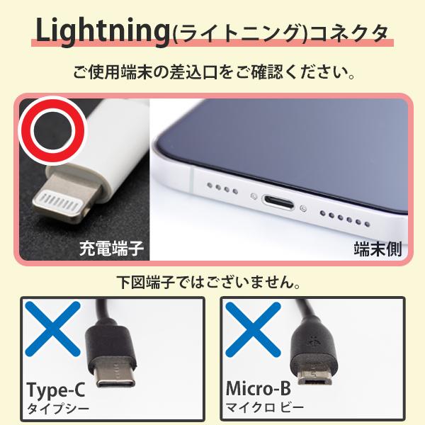 Apple iPhone ケーブル タイプc 純正充電ケーブル ライトニング