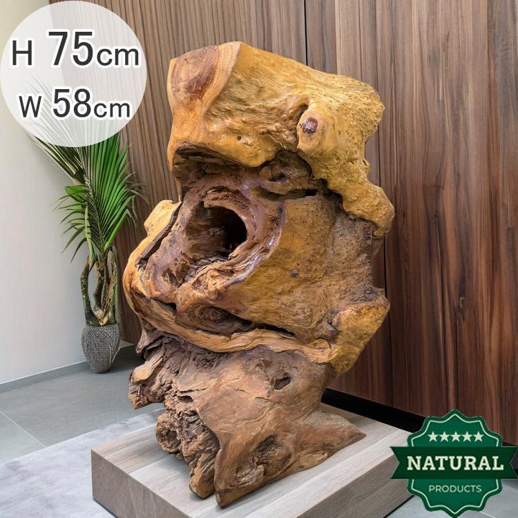 送料無料 自然木 楠 木の根 飾り台 展示品 オブジェ H75cm 天然木 置物