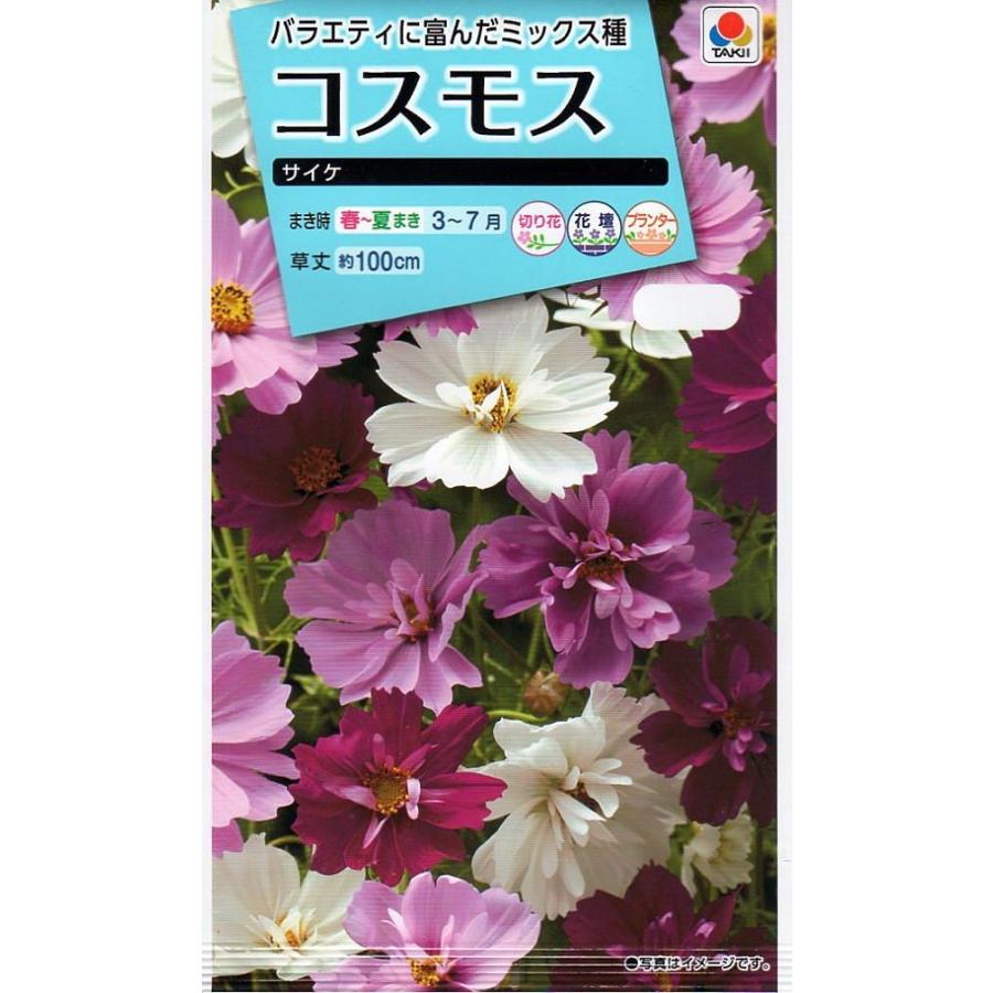 花種子 コスモス サイケ タキイ種苗のタネ : Gardener s Shop Ivy