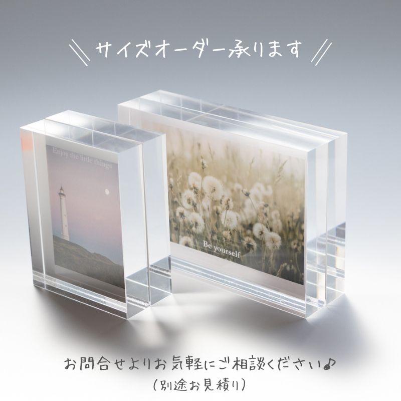 DUSTCELL アートカードセット アクリル板付き DUSTCELL】アクリル