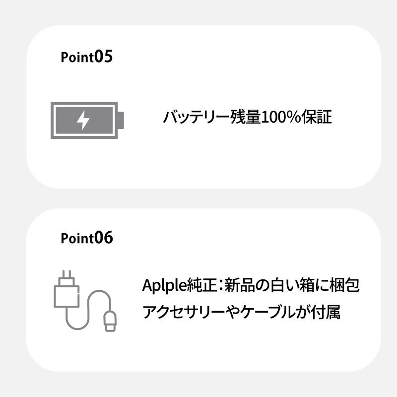 iPad 【Apple認定整備済み製品】iPad Air 第4世代 バッテリー残量100