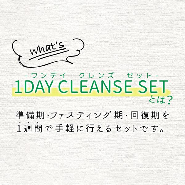 公式】GB 1DAY CLEANSE SET（ワンデイクレンズセット） : GBオンライン