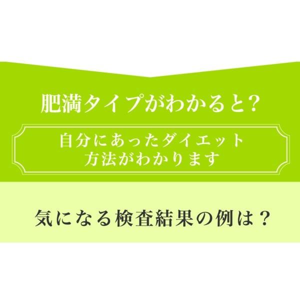 公式】遺伝子型ダイエット「ジーンライフ ダイエット／GeneLife DIET