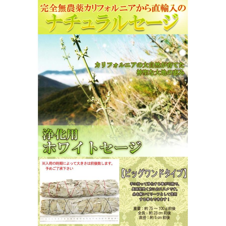 無農薬 高品質 浄化用 カリフォルニア産 ホワイトセージ ビックワンド