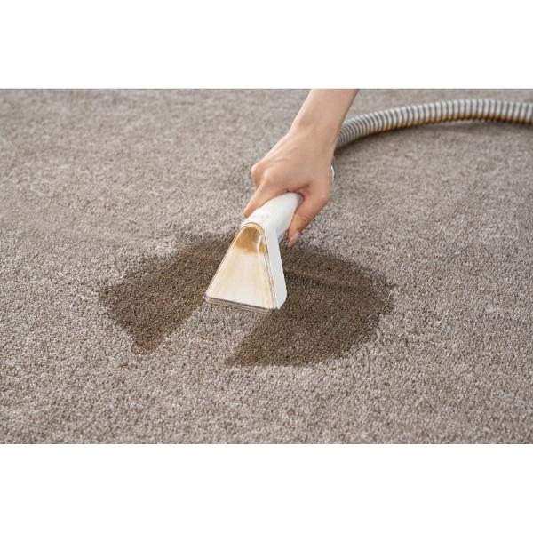 Haier（ハイアール） 布製品水洗い掃除機 MIZUKI nu-no ミズキ ヌーノ