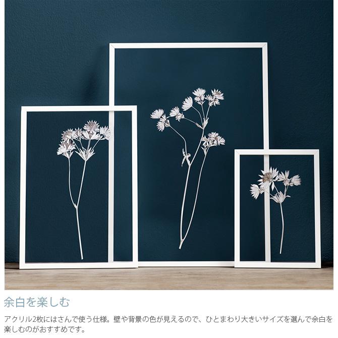 ポスターフレーム 北欧 おしゃれ A2 モノトーン MOEBE ムーベ FRAME