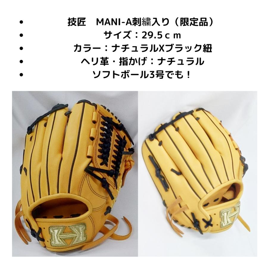 HI-GOLD（ハイゴールド） 軟式グラブ オールラウンド用 限定品