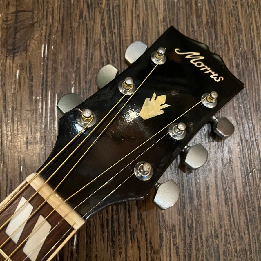 Morris Morris WD-30 Acoustic Guitar アコースティックギター