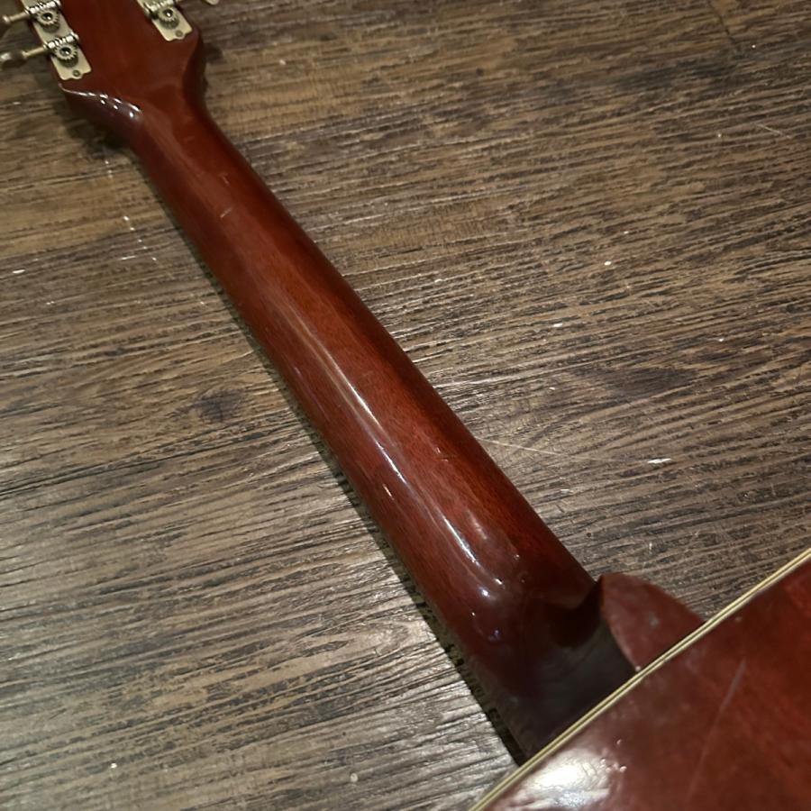 YAMAHA（ヤマハ） Yamaha FG-230 12String Guitar Red Label Acoustic