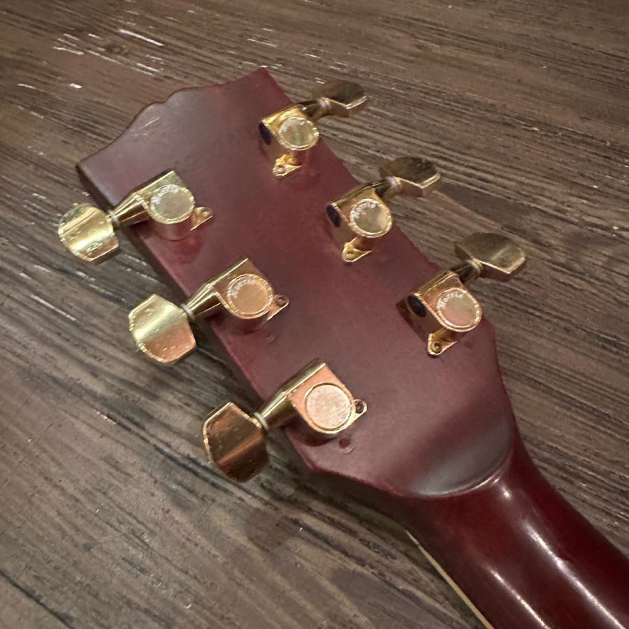 Morris Morris MWD-03 Acoustic Guitar アコースティックギター