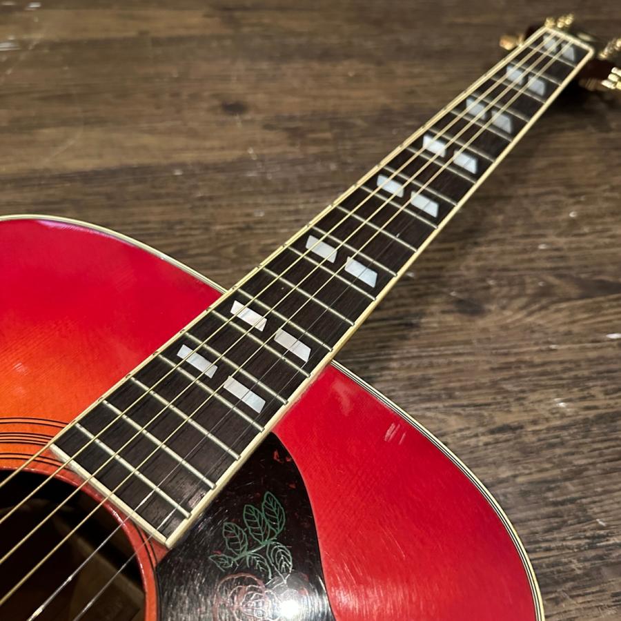 Morris Morris MWD-03 Acoustic Guitar アコースティックギター