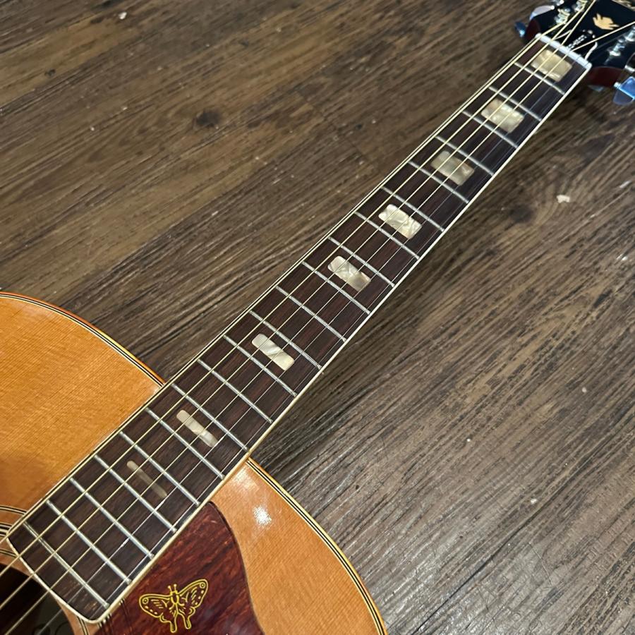 ARIA（アリア） Aria WH-25 1970年代 ハミングバード コピー Acoustic