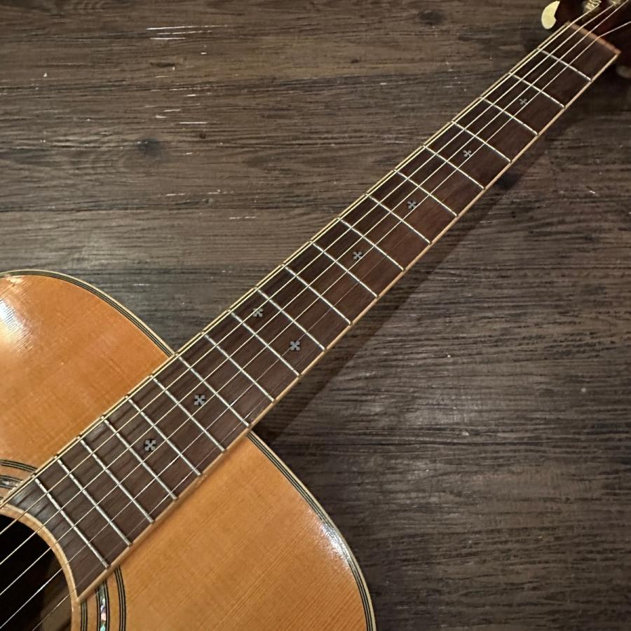 Greg Bennett ASDM ハードケース付き Acoustic Guitar
