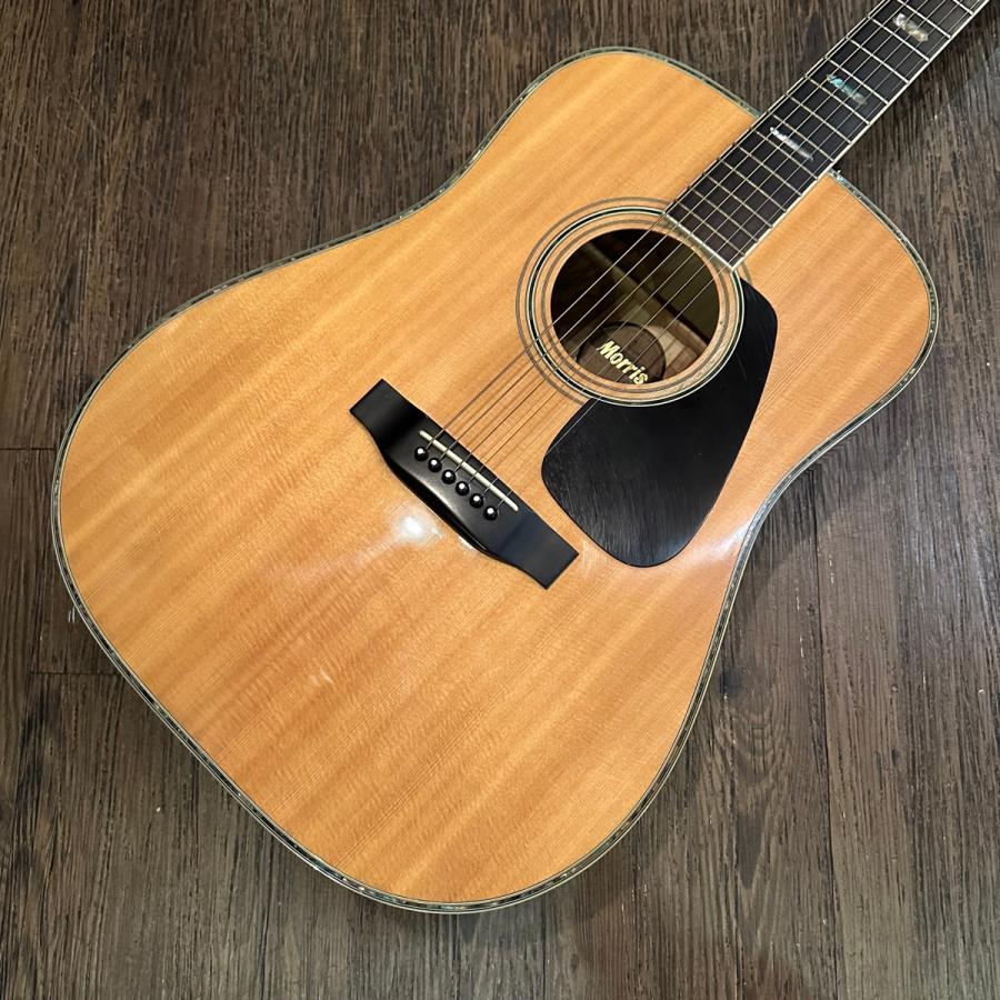 Morris Morris TF-801 Acoustic Guitarアコースティックギター