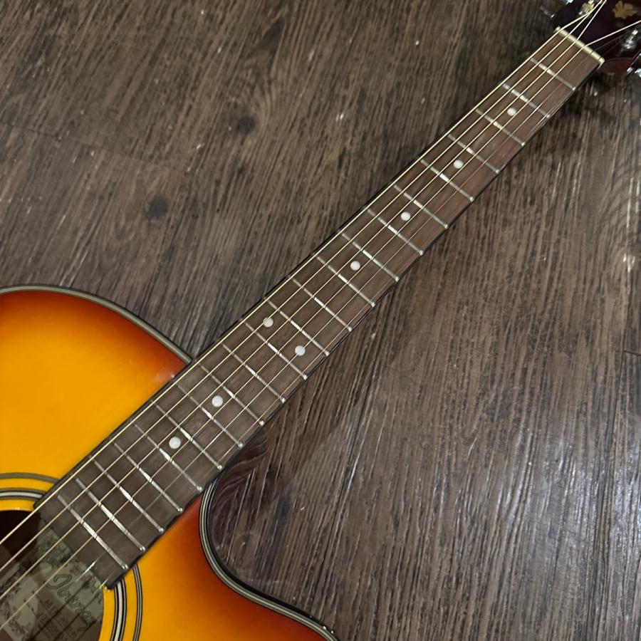 Ibanez（アイバニーズ） Ibanez AEJ7E-HS Electric Acoustic Guitar