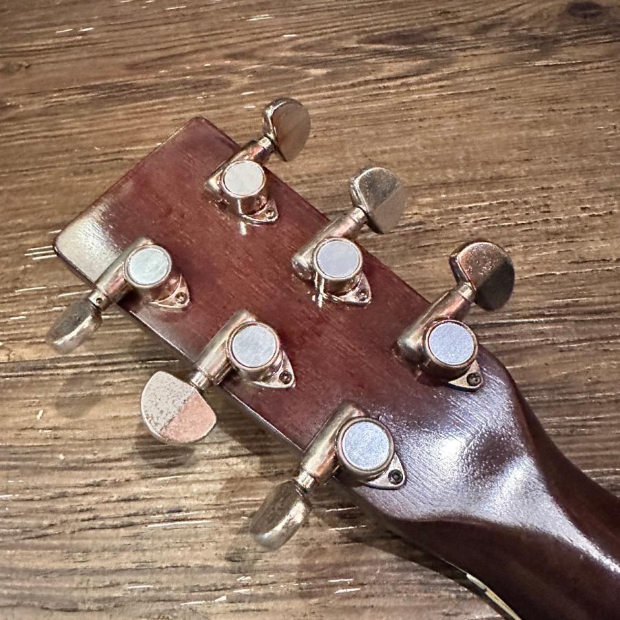 東海 Tokai Cat's Eyes CE-300 Acoustic Guitar ハードケース付き