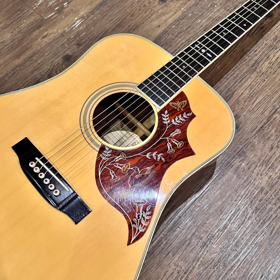 東海 Tokai Cat's Eyes CE-300 Acoustic Guitar ハードケース付き