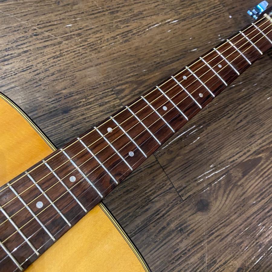 Morris Morris MD-502 Acoustic Guitar アコースティックギター