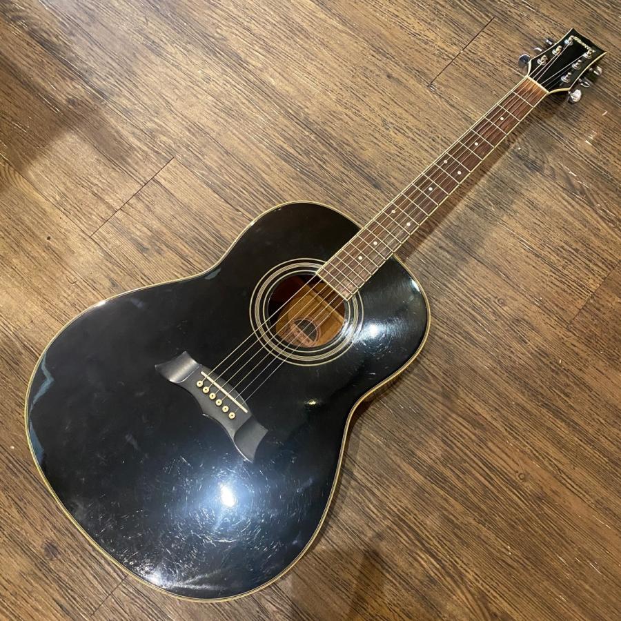 Morris Morris MG-301BK Acoustic Guitar アコースティックギター