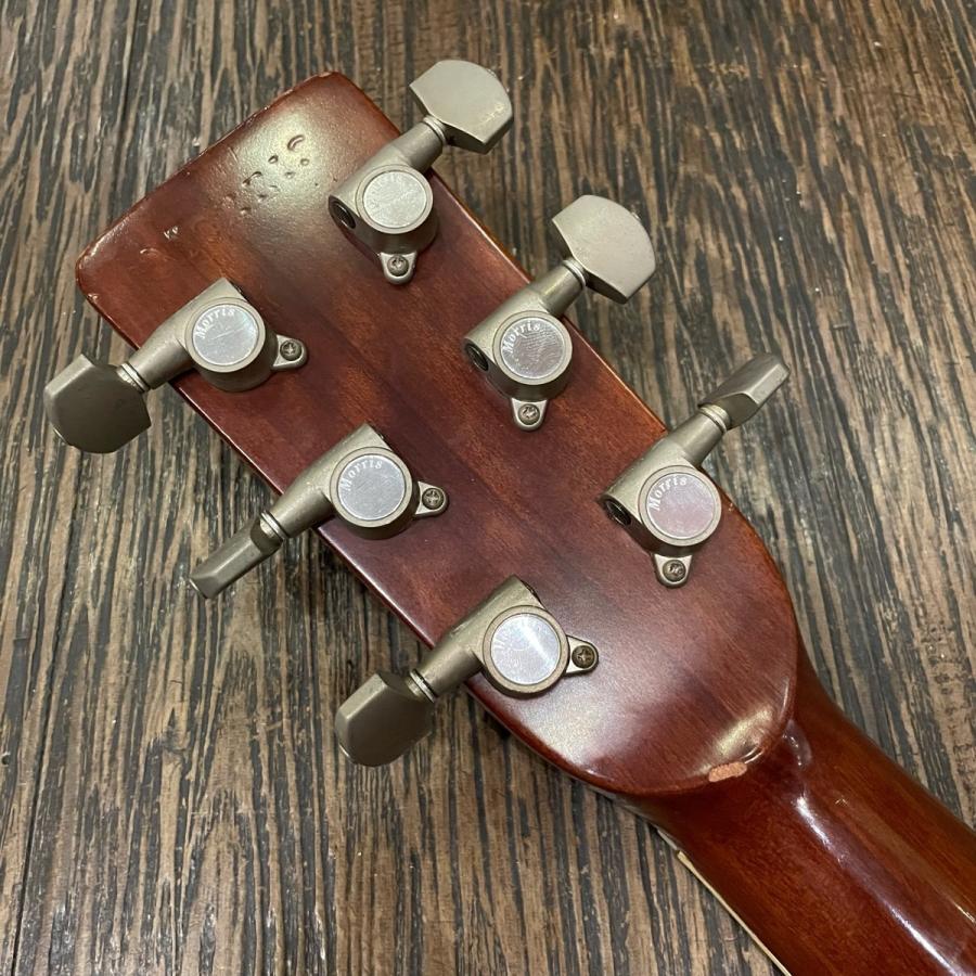 Morris Morris MD-510 Acoustic Guitar アコースティックギター