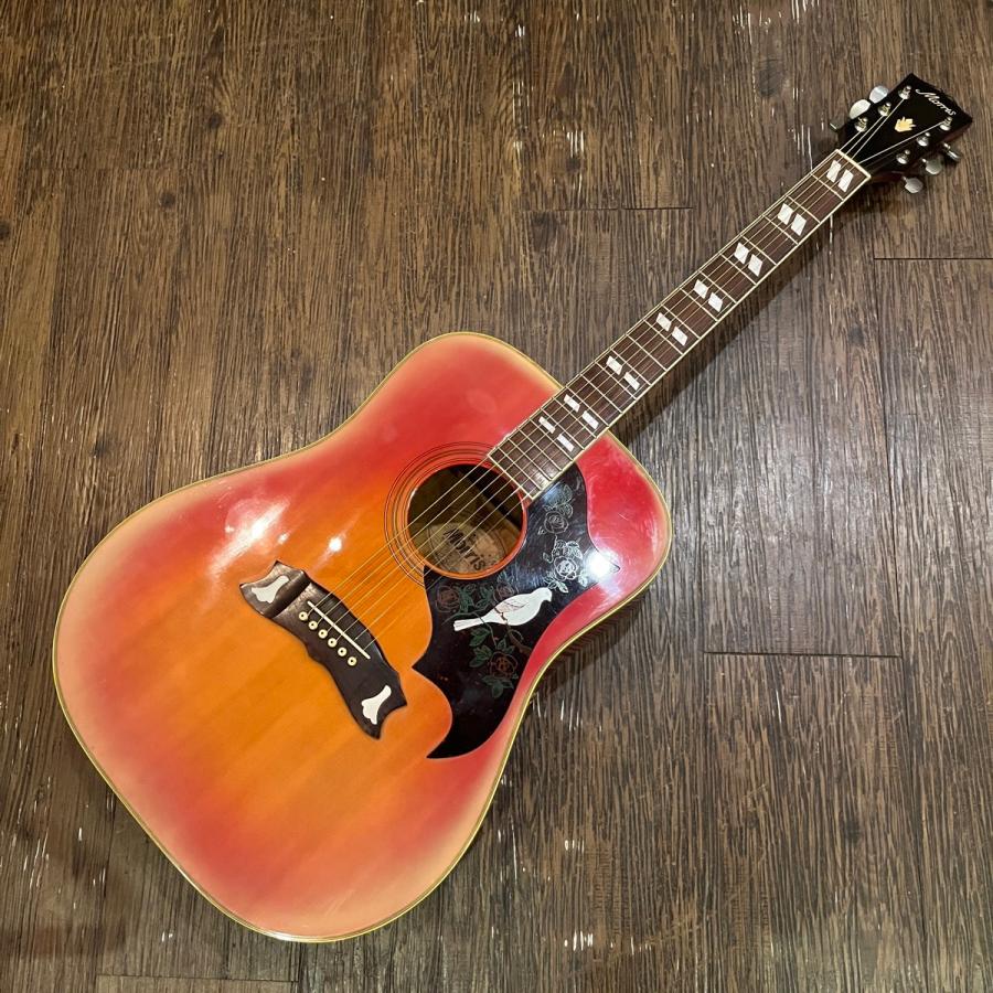Morris Morris WD-30 Acoustic Guitar アコースティックギター