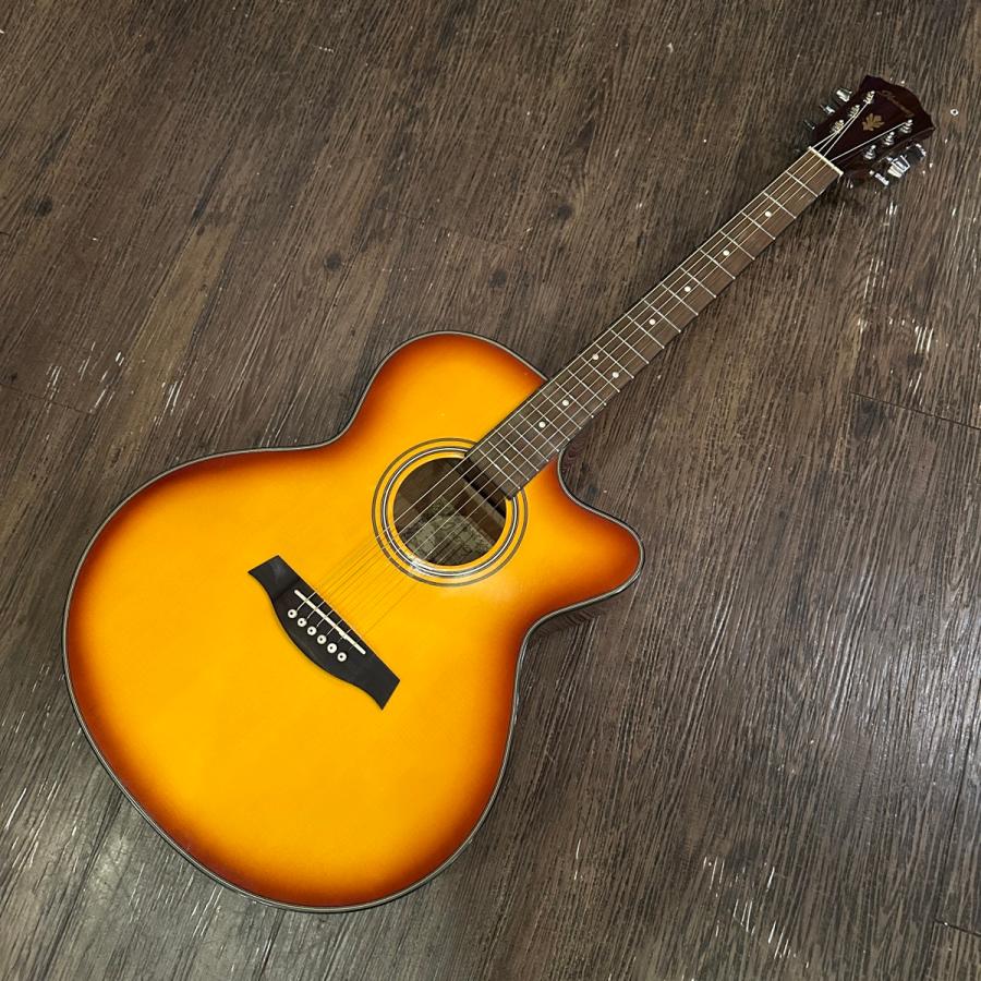 Ibanez（アイバニーズ） Ibanez AEJ7E-HS Electric Acoustic Guitar
