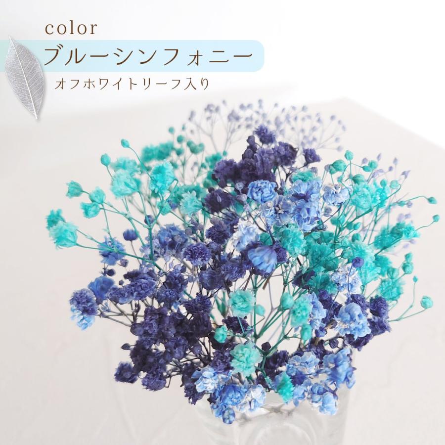 隠れ工房GreenOcean プリザーブドフラワー 枝付きカスミソウ リーフ