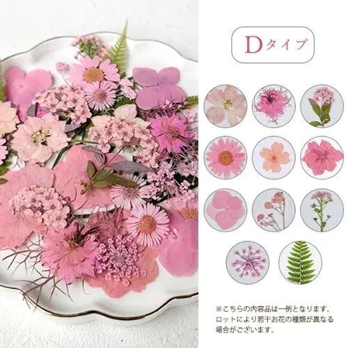押し花 押し花MIX 約33枚 アソートセット ドライフラワー レジン封入