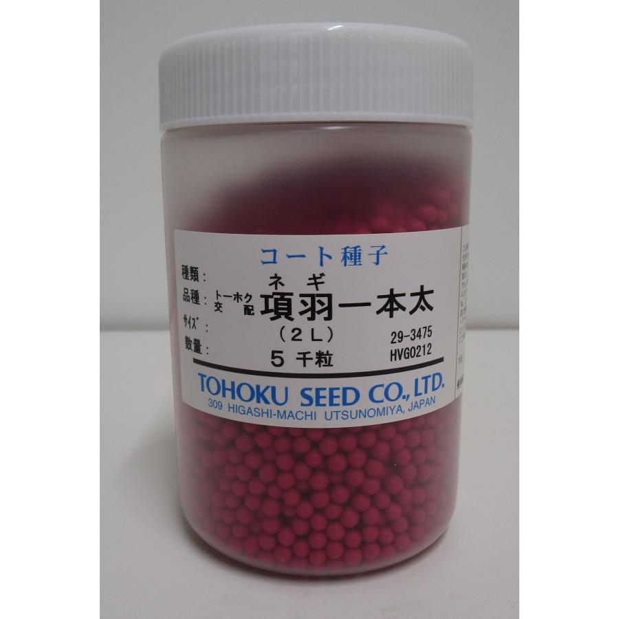ねぎ 項羽一本太 ペレット種子 5千粒 （株）トーホク : グリーンロフト