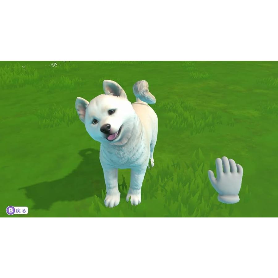 LITTLE FRIENDS 〜PUPPY ISLAND〜（リトルフレンズ・パピーアイランド