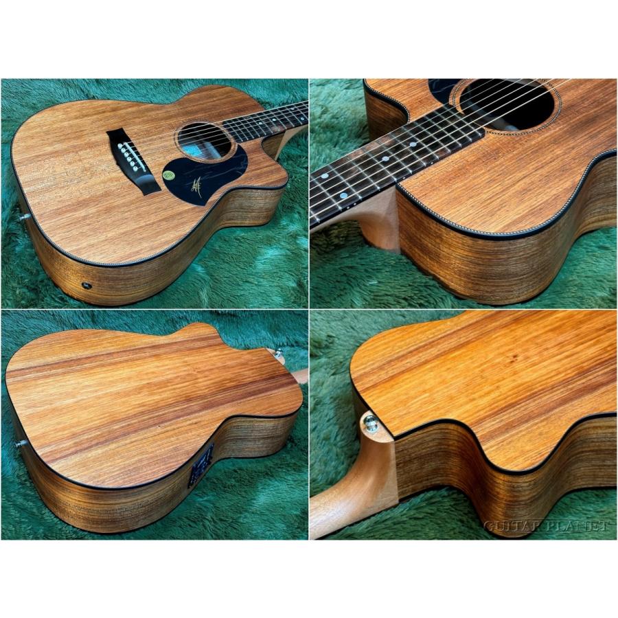 Maton EBW808 C ~All Blackwood Series~ #29280 新品《エレアコ/アコギ