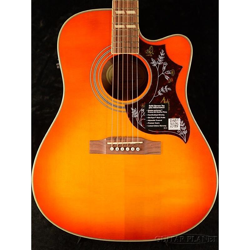 Epiphone（エピフォン） Epiphone Hummingbird Performer Pro -Faded