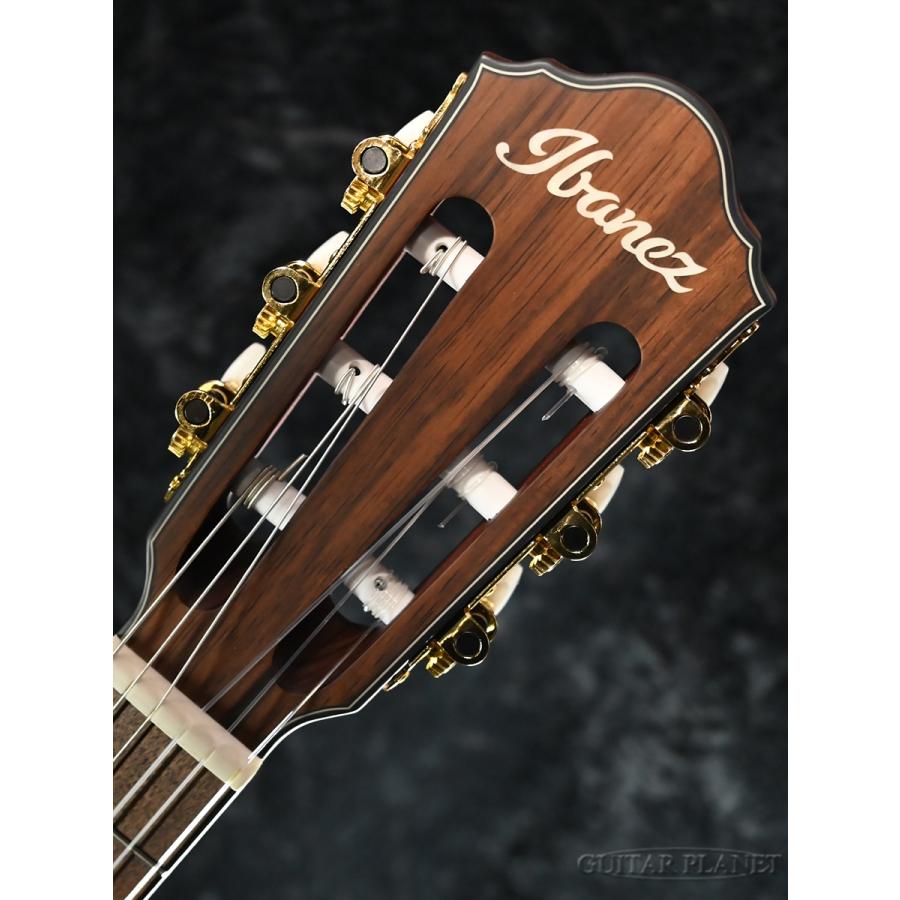 Ibanez（アイバニーズ） Ibanez FRH10N -RGF (Rose Gold Metallic Flat