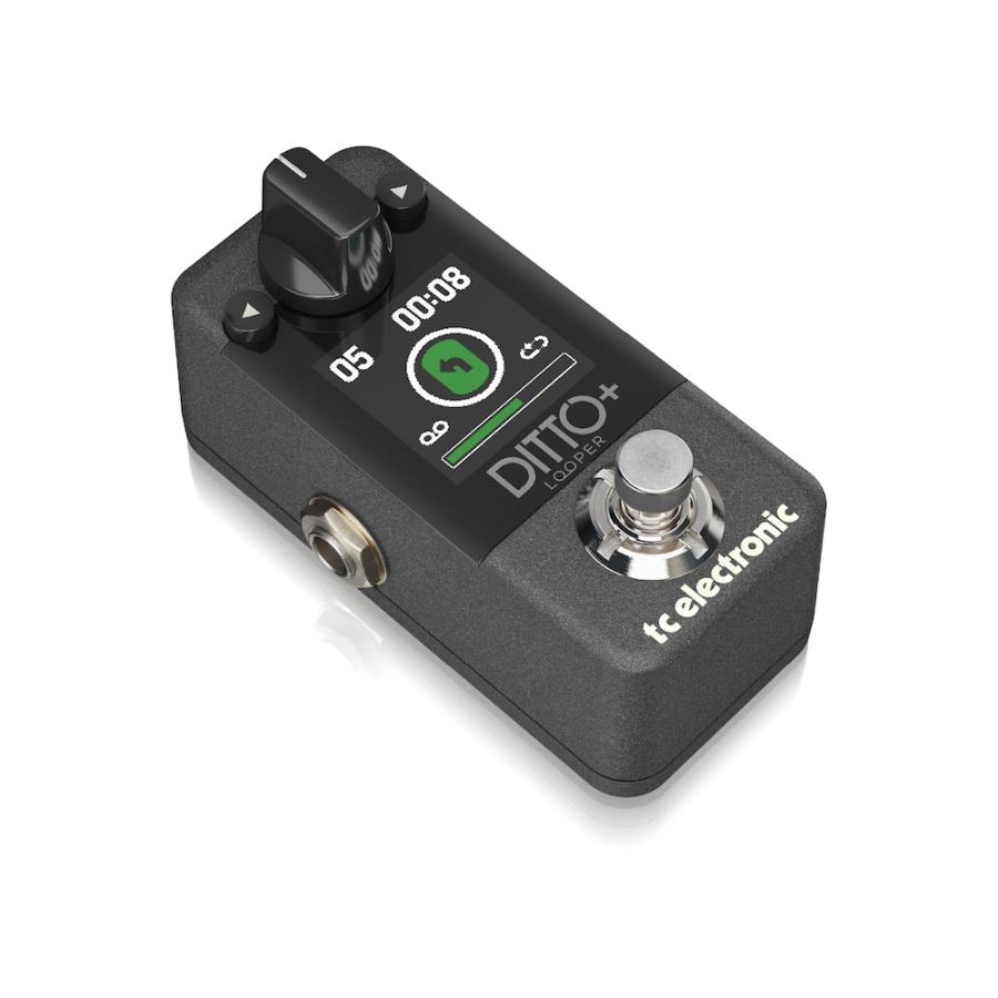t.c.electronic DITTO+ LOOPER │ ルーパー《エフェクター》 : ギター