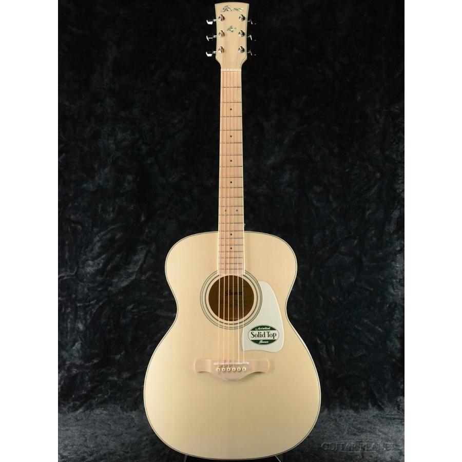 Ibanez（アイバニーズ） Ibanez AC419E -OAW（Open Pore Antique White