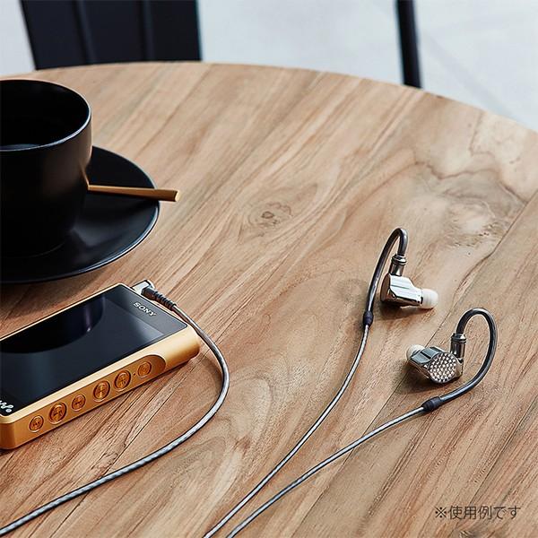 SONY（ソニー） (在庫限り)SONY IER-Z1R フラグシップ 有線イヤホン